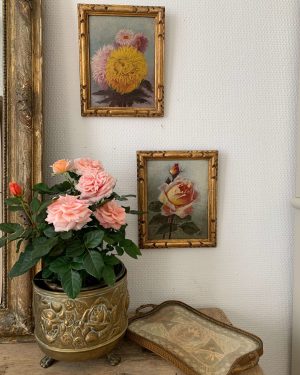 anciennes peintures de fleurs debut xxème