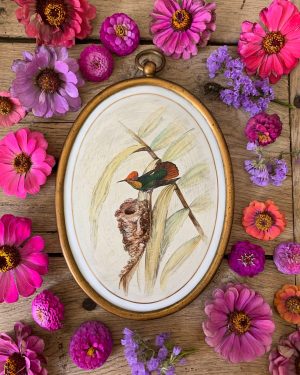 ancienne peinture sur porcelaine colibris médaillon début xxème
