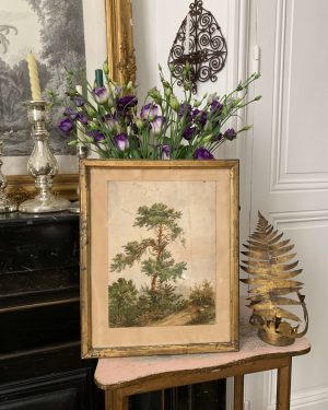 ancienne aquarelle du xixeme siècle arbre verdure paysage