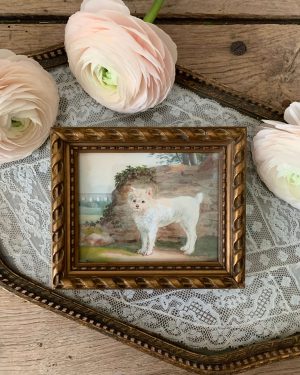 ancienne peinture aquarelle chien fin xixeme