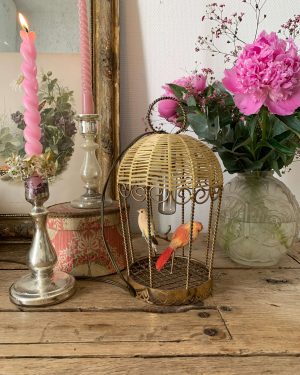 ancienne lampe oiseaux cage vintage