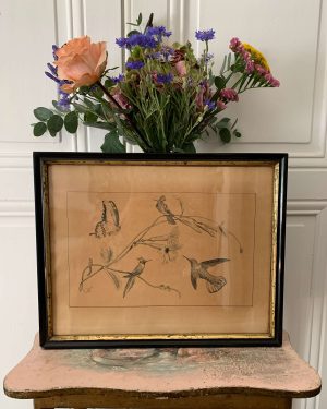 Ancien dessin de 1884