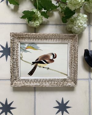 Petit tableau d’oiseau