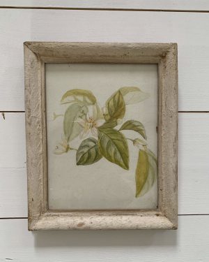 Aquarelle ancienne XIXe