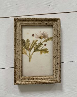 Aquarelle ancienne XIXe