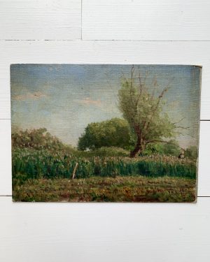 Paysage ancien des années 30