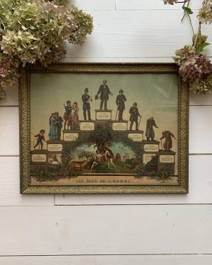 Ancienne chromolithographie "Les âges de l’homme