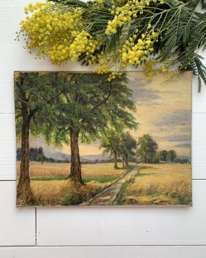 Paysage ancien